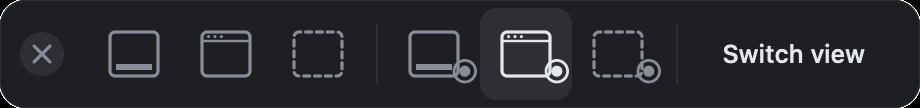 The Kyanth capture chooser: still and video targets for the screen, a window and a region, with the button reading Switch view because a recording is already running.
